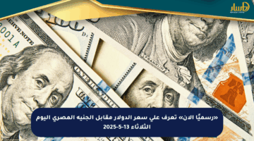 «رسميًا الآن» تعرف على سعر الدولار مقابل الجنيه المصري اليوم الثلاثاء 13-5-2025
